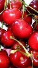 Descargar la imagen Frutas,Cereza,Comida,Bayas para celular gratis.