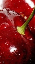 Descargar la imagen Comida,Cereza,Frutas para celular gratis.