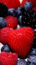 Descargar la imagen Frutas,Comida,Fresa,Arándanos,Bayas para celular gratis.