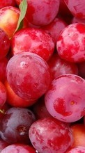 Frutas,Comida,Fondo,Bayas,Ciruela para Samsung E1232