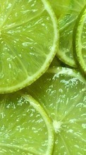 Comida,Fondo,Frutas,Lemons para HTC Legend