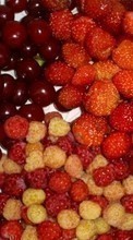 Frutas,Comida,Fresa,Cereza,Frambuesa,Bayas para LG GS190