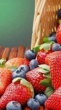 Descargar la imagen Comida,Frutas,Fresa para celular gratis.