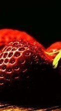Plantas,Frutas,Comida,Fresa,Bayas para Samsung Galaxy A8