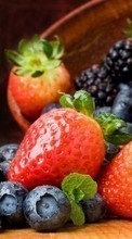 Descargar la imagen Frutas,Comida,Fresa,Mora para celular gratis.