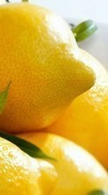Descargar la imagen 320x240 Frutas,Comida,Lemons para celular gratis.