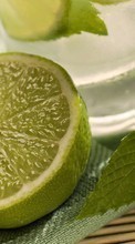 Frutas,Comida,Lemons,Naturaleza muerta para Fly Nimbus 3 FS501