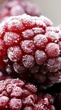Descargar la imagen Frutas,Comida,Frambuesa para celular gratis.