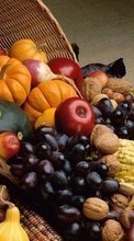 Descargar la imagen Comida,Frutas,Verduras para celular gratis.