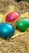 Descargar la imagen Vacaciones,Comida,Huevos,Pascua para celular gratis.