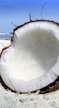 Descargar la imagen Comida,Coconuts para celular gratis.