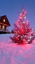 Descargar la imagen Vacaciones,Paisaje,Invierno,Año Nuevo,Abetos,Navidad para celular gratis.
