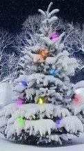 Descargar la imagen Abetos,Navidad,Vacaciones,Año Nuevo,Nieve para celular gratis.