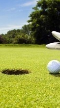 Descargar la imagen Fondo,Golf,Deportes para celular gratis.