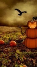 Descargar la imagen Fondo,De Halloween,Vacaciones para celular gratis.