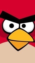 Descargar la imagen 1024x768 Juegos,Fondo,Angry Birds,Imágenes para celular gratis.