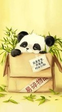Descargar la imagen Fondo,Pandas,Animales para celular gratis.