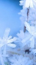 Invierno,Fondo,Los copos de nieve para Sony Ericsson Xperia X10