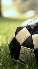 Descargar la imagen Fútbol,Deportes para celular gratis.