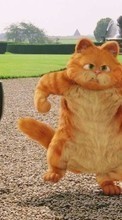 Descargar la imagen Divertido,Dibujos animados,Gatos,Garfield para celular gratis.