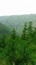 Montañas,Paisaje,Naturaleza para Samsung Galaxy Beam