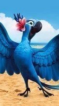 Descargar la imagen Dibujos animados,Birds,Loros,Rio para celular gratis.