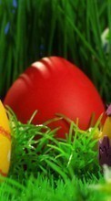 Huevos,Objetos,Vacaciones para LG G4c H525N
