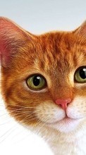 Descargar la imagen Animales,Gatos,Imágenes para celular gratis.