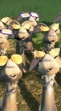 Divertido,Dibujos animados,Conejos para Samsung Galaxy Note