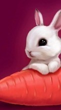 Animales,Conejos,Imágenes para Sony Xperia E3 D2202