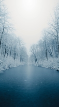 Descargar la imagen Hielo, Árboles, Nieve, Invierno, Naturaleza para celular gratis.