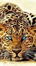 Descargar la imagen Leopardos,Imágenes,Animales para celular gratis.