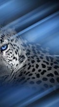 Descargar la imagen 1080x1920 Animales,Leopardos para celular gratis.