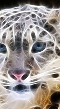 Animales,Leopardos para Samsung Galaxy Pro