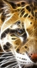 Animales,Leopardos para Sony Xperia C
