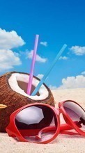 Descargar la imagen Coconuts,Paisaje,Playa,Verano,Bebidas para celular gratis.