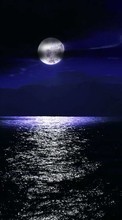 Luna,Mar,Noche,Paisaje
