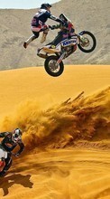 Descargar la imagen Deportes,Transporte,Personas,Motocicletas,Desierto,Motocross para celular gratis.