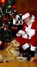 Descargar la imagen Vacaciones,Animales,Personas,Año Nuevo,Papá Noel,Navidad para celular gratis.