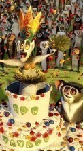 Descargar la imagen Dibujos animados,Madagascar para celular gratis.