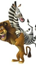 Descargar la imagen Madagascar,Dibujos animados para celular gratis.