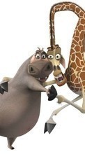 Descargar la imagen 240x400 Dibujos animados,Madagascar para celular gratis.