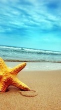 Descargar la imagen Paisaje,Cielo,Mar,Playa,Estrella de mar para celular gratis.