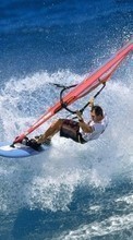 Descargar la imagen 1280x800 Deportes,Agua,Mar,Hombres,Windsurf para celular gratis.