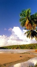 Descargar la imagen Paisaje,Cielo,Mar,Nubes,Playa,Palms para celular gratis.