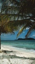 Descargar la imagen Paisaje,Mar,Nubes,Playa,Palms para celular gratis.