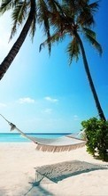 Paisaje,Mar,Playa,Palms para Huawei Ascend Y210