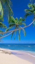 Descargar la imagen Paisaje,Mar,Playa,Palms para celular gratis.