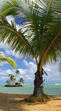 Descargar la imagen Mar,Palms,Paisaje,Playa,Naturaleza para celular gratis.
