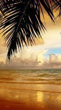 Descargar la imagen Paisaje,Puesta del sol,Mar,Playa,Palms para celular gratis.